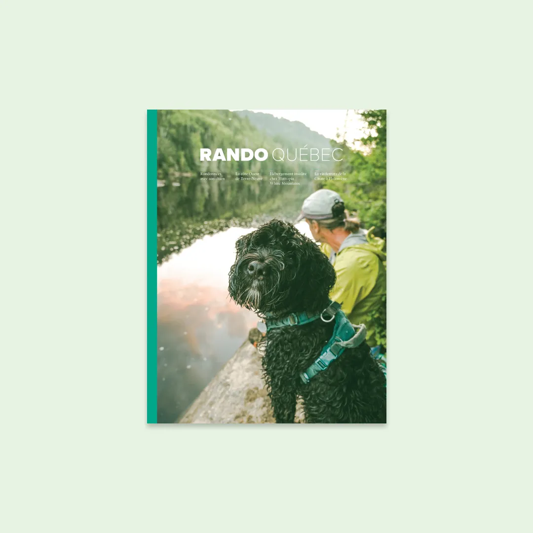 Randonneuses avec un chien dans le bois